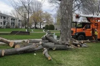 Trusted yard maintenance in Amherst, MA by Duke's