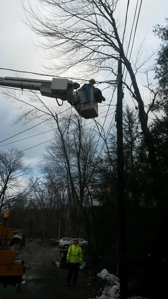 Local outdoor landscaping experts serving Amherst, MA - Duke's