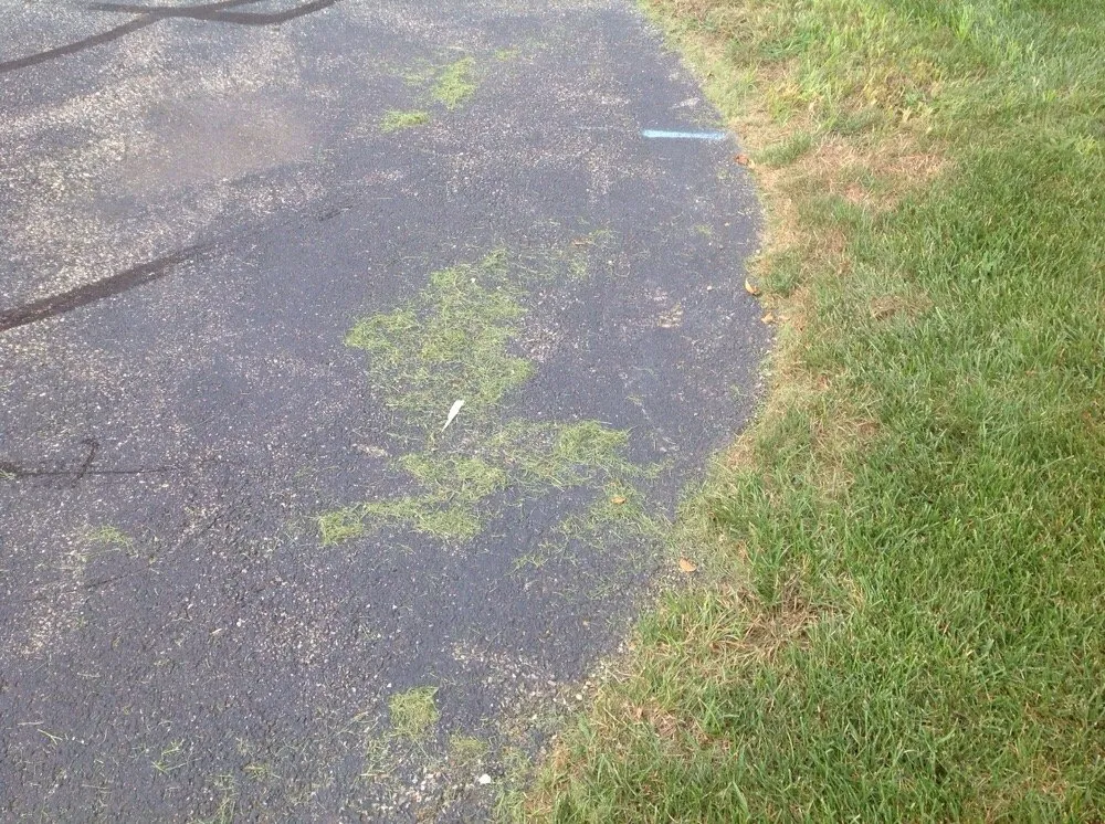 Expert landscape design in Hackettstown, NJ by Duke's Landscape Management