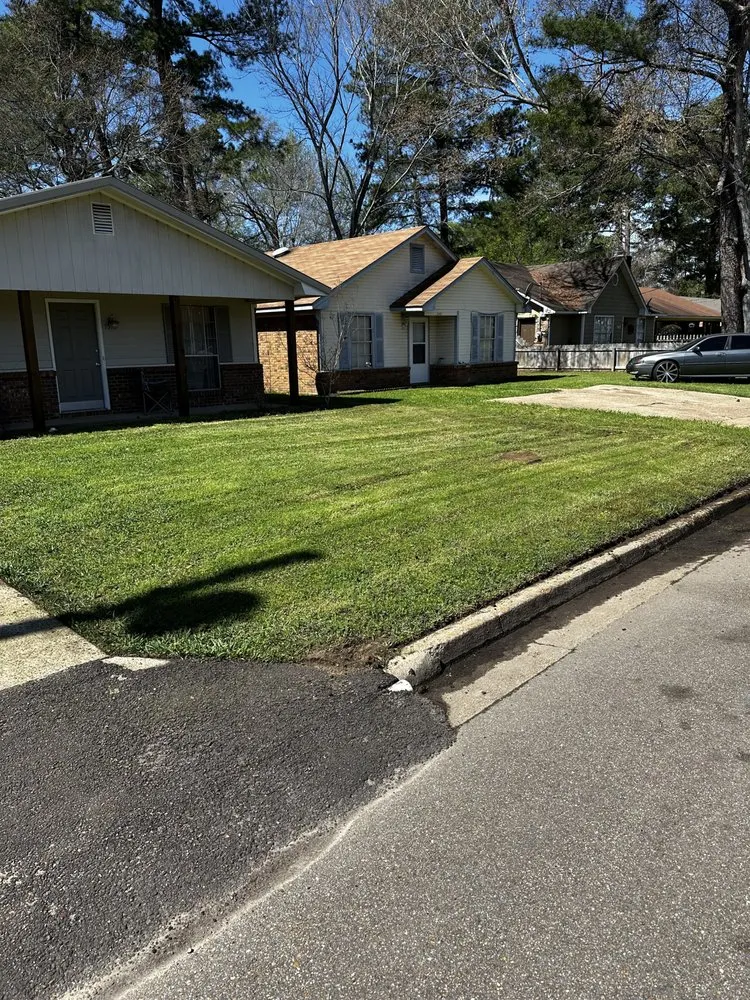Local yard cleanup service experts serving Brandon, MS - Dukes Landscaping