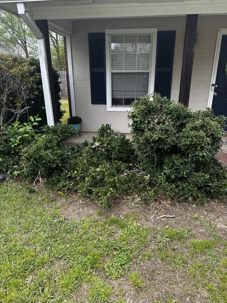 Local landscape installation for homes across Brandon, MS - Dukes Landscaping