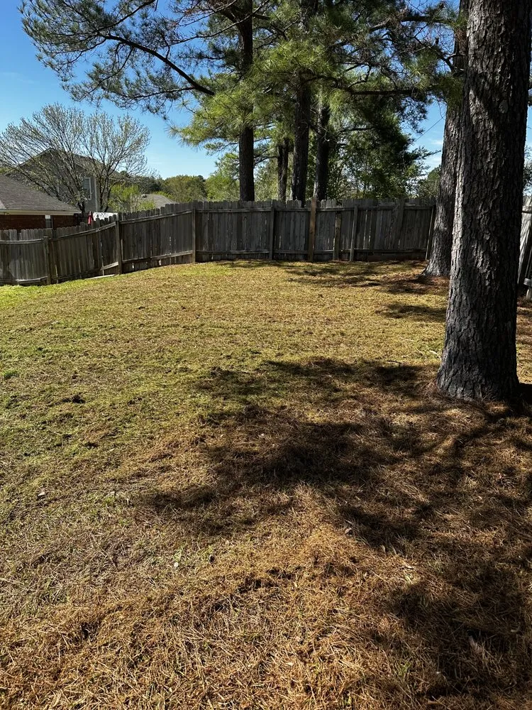 Trusted lawn care service for year-round maintenance across Brandon, MS - Dukes Landscaping