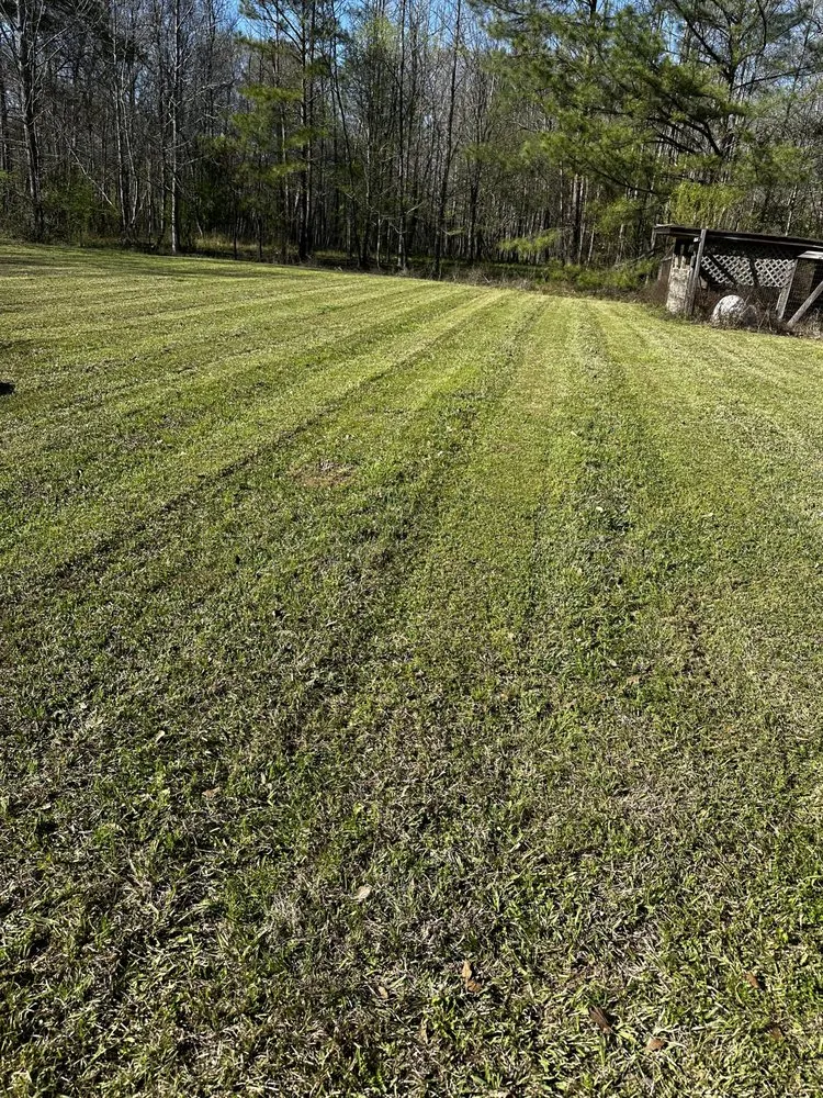 Reliable lawn mowing service for homes across Brandon, MS - Dukes Landscaping