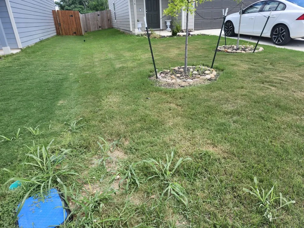 Top-rated landscaping services in Stockdale, TX - Duke's Landscaping