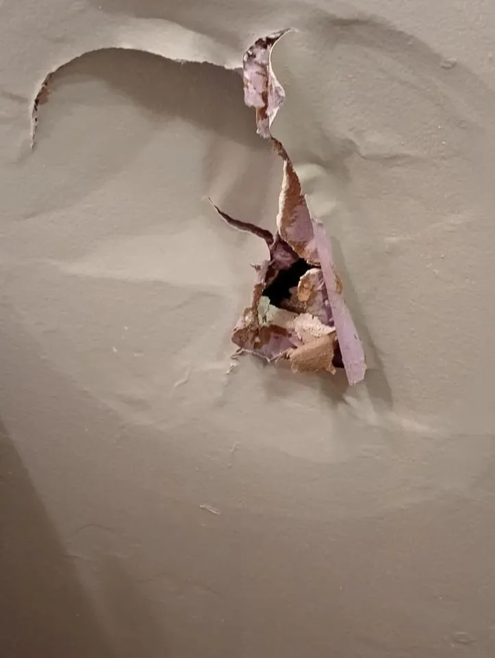 Reliable garden landscaping for homes in Manning, SC by Dukes Of All Trades