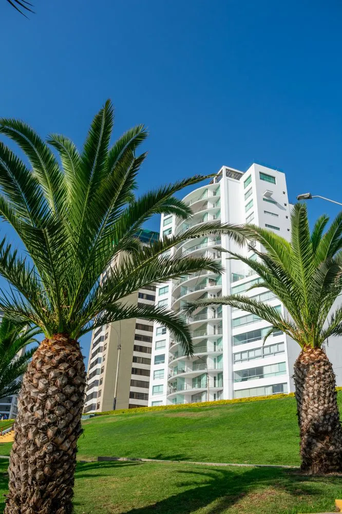 Reliable lawn care service for residential properties across Coral Springs, FL - duke's pest control