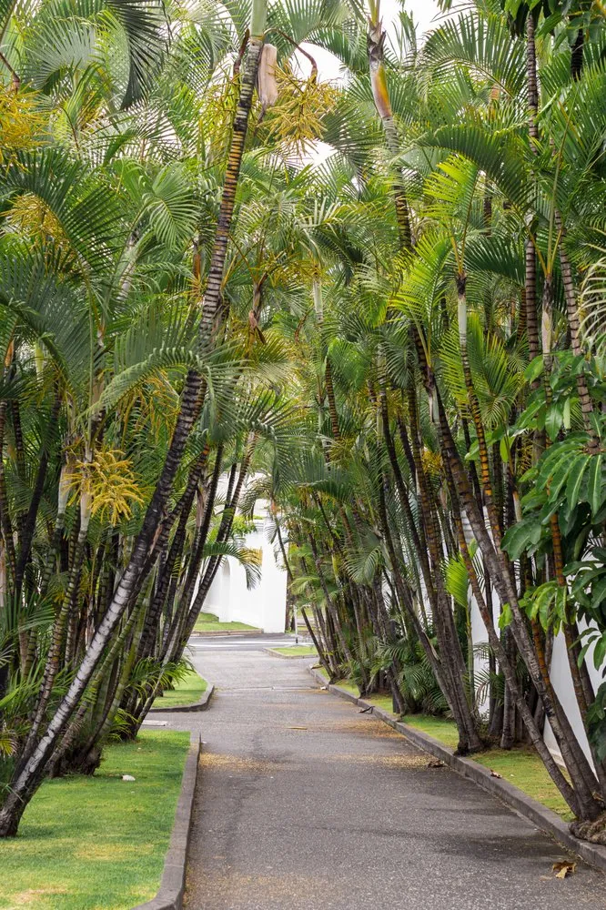 Expert garden landscaping in Coral Springs, FL by duke's pest control