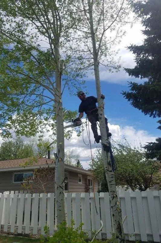 Professional outdoor landscaping in East Helena, MT by Duke's Tree Service