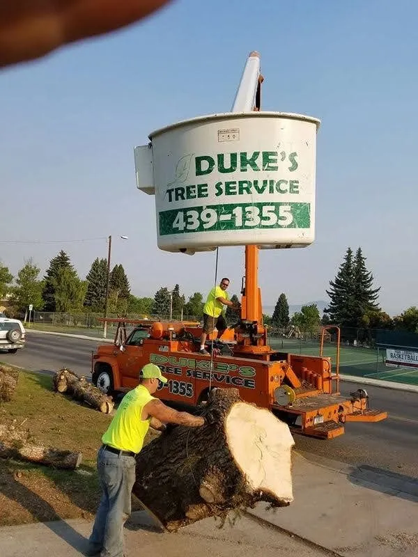 Expert garden landscaping in East Helena, MT by Duke's Tree Service