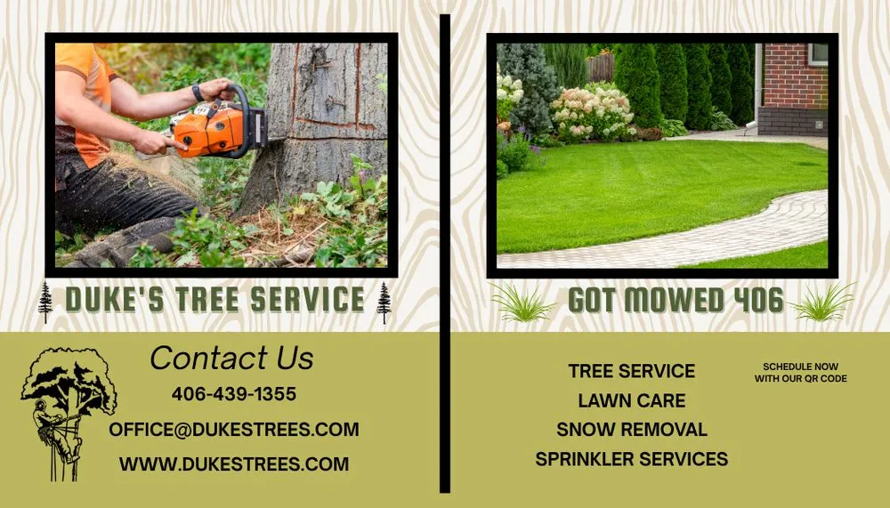Top-rated yard cleanup service experts serving East Helena, MT - Duke's Tree Service