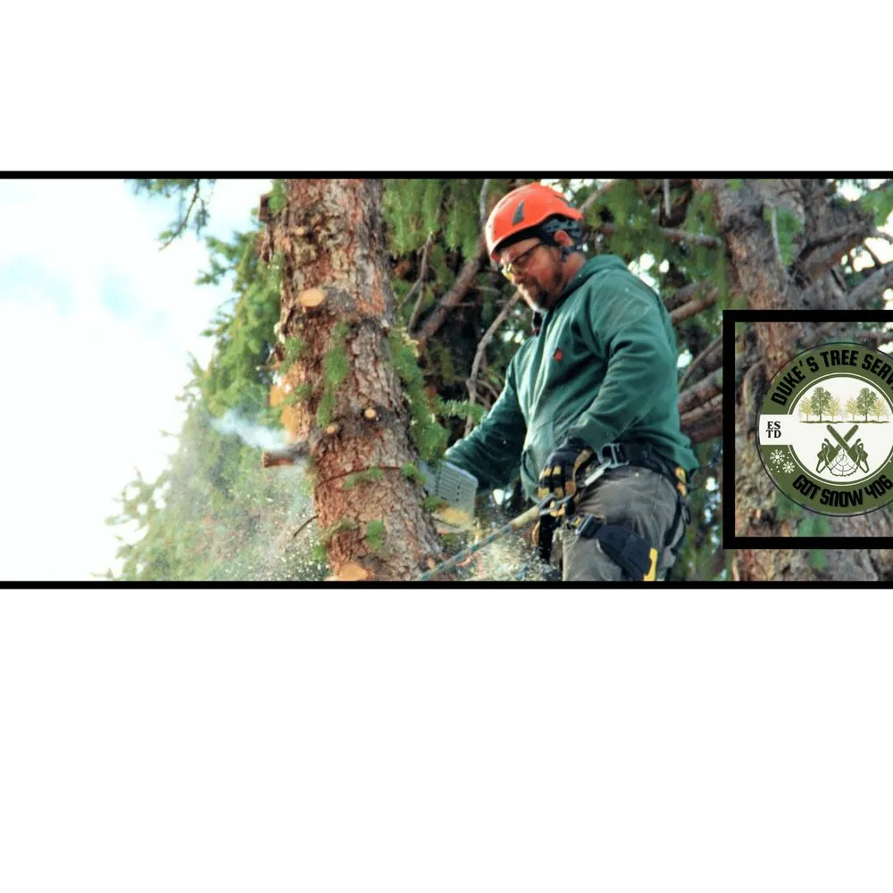 Expert outdoor landscaping experts serving East Helena, MT - Duke's Tree Service