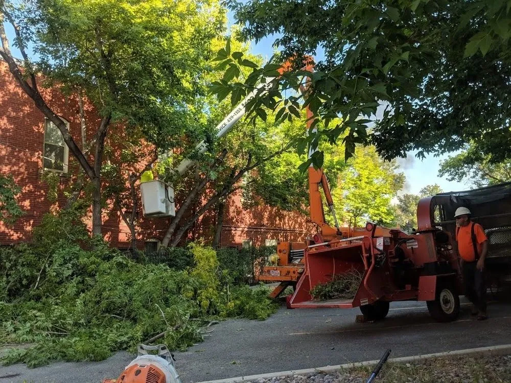 Reliable landscaping services for homes in East Helena, MT by Duke's Tree Service