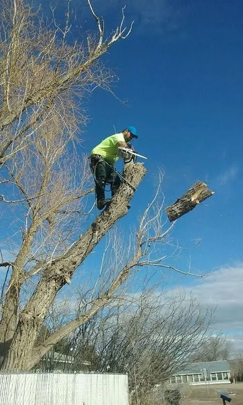 Custom landscaping services in East Helena, MT by Duke's Tree Service