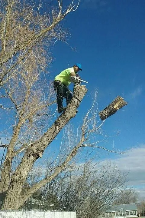 Custom residential landscaping in East Helena, MT - Duke's Tree Service