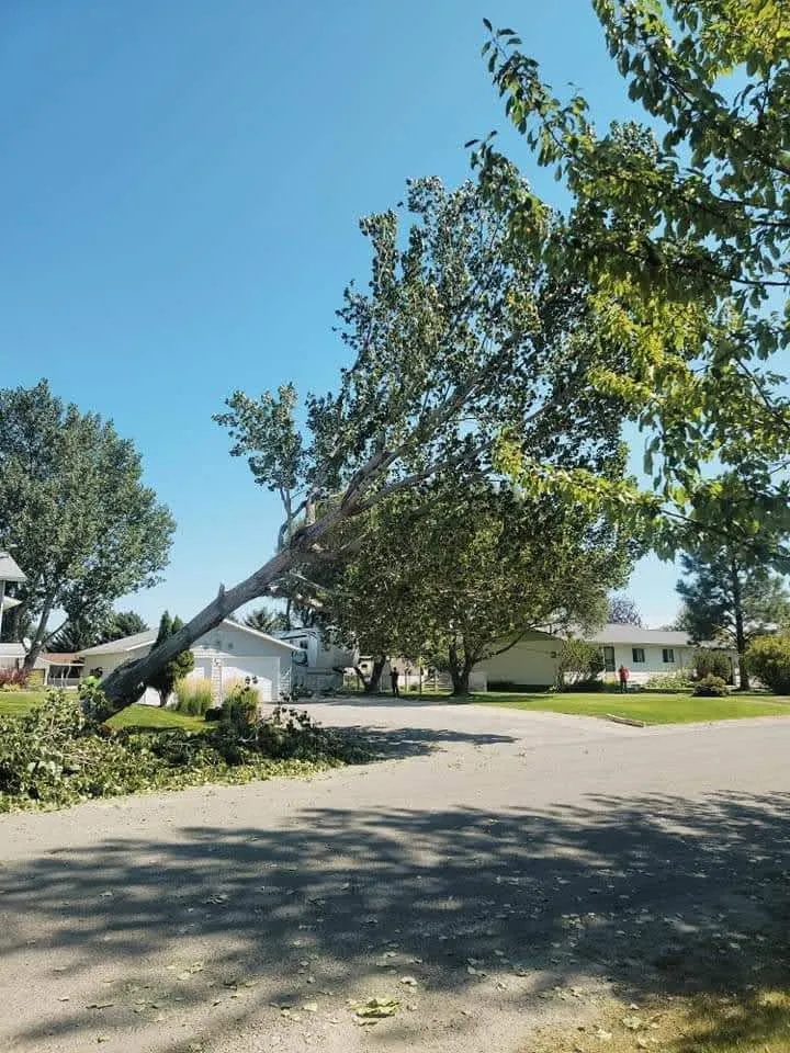 Reliable residential landscaping in East Helena, MT - Duke's Tree Service