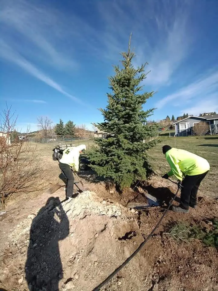 Trusted yard maintenance near you in East Helena, MT by Duke's Tree Service