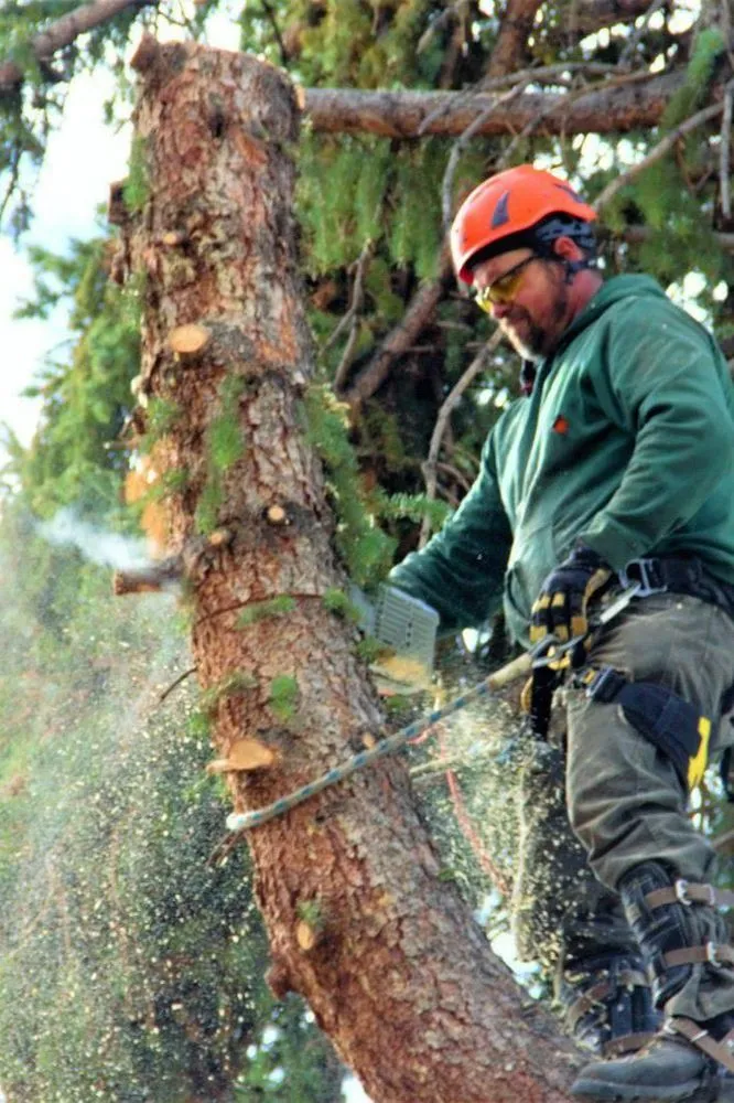 Expert yard cleanup service in East Helena, MT - Duke's Tree Service