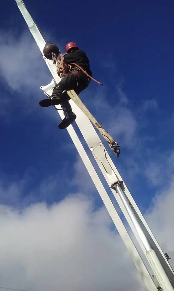 Expert lawn mowing service experts serving Citrus Heights, CA - Dulai Landscaping And Trees