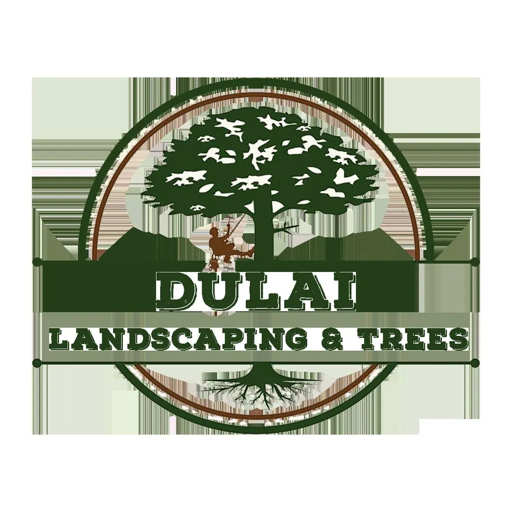 Top-rated lawn care service for beautiful yards in Citrus Heights, CA by Dulai Landscaping And Trees