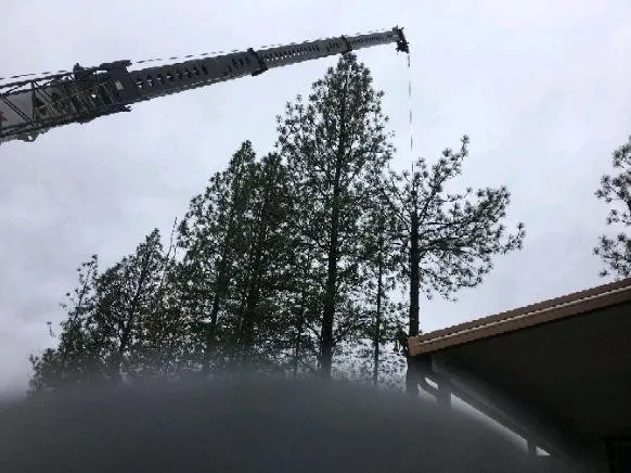 Affordable residential landscaping experts serving Citrus Heights, CA - Dulai Landscaping And Trees