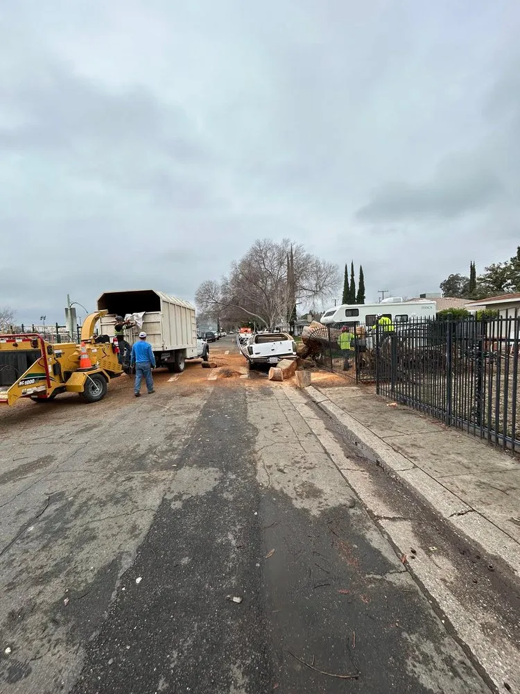 Expert outdoor landscaping near you in Citrus Heights, CA by Dulai Landscaping And Trees