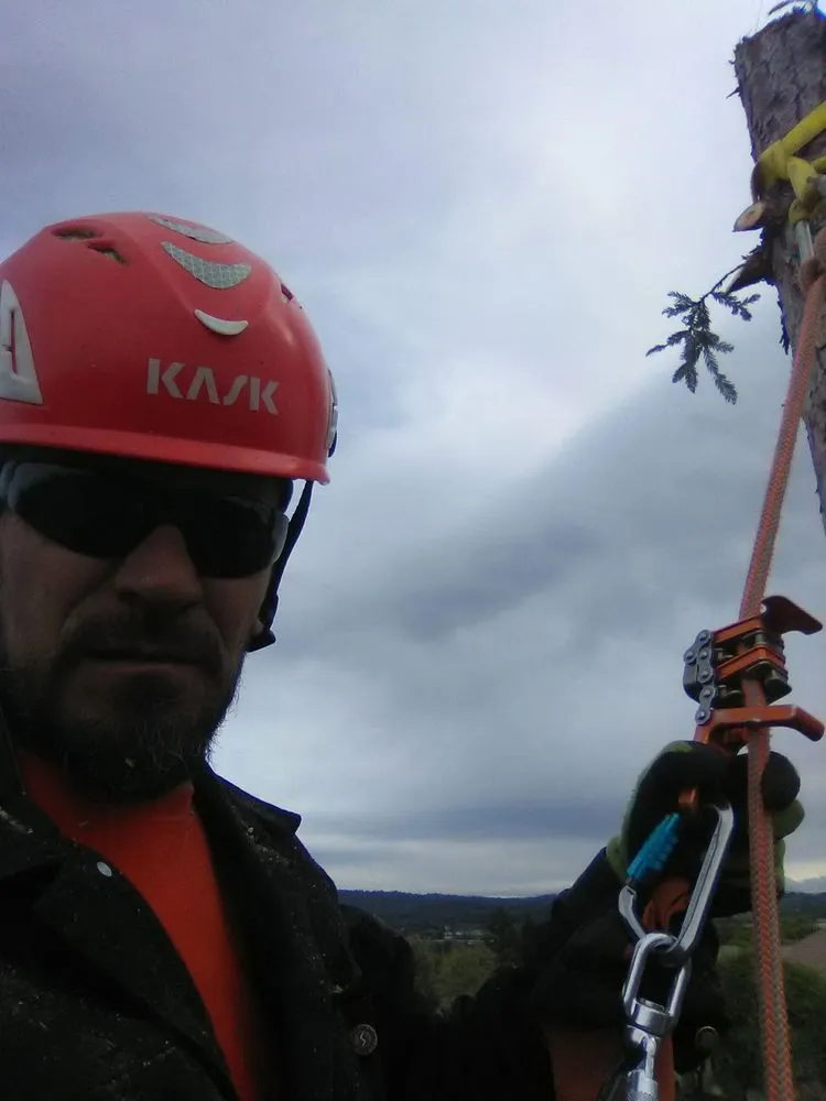 Top-rated residential landscaping for year-round maintenance in Citrus Heights, CA by Dulai Landscaping And Trees