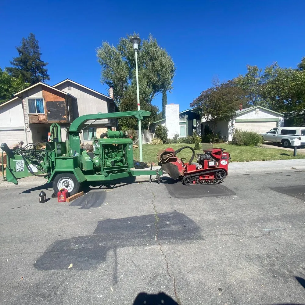 Local residential landscaping in Citrus Heights, CA by Dulai Landscaping And Trees