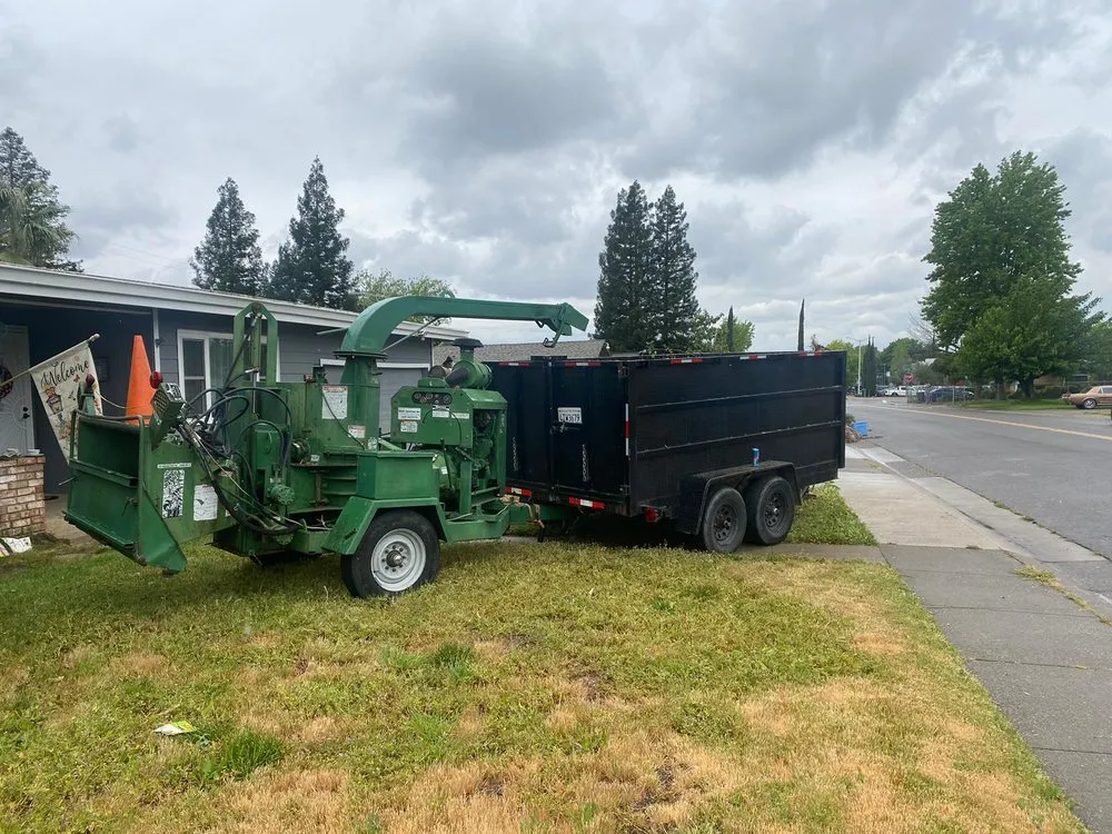 Local landscape design in Citrus Heights, CA - Dulai Landscaping And Trees