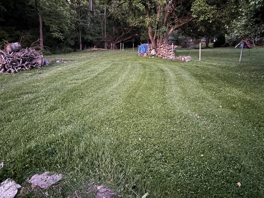 Top-rated yard cleanup service experts serving Waynesburg, PA - Dulaneys lawn service