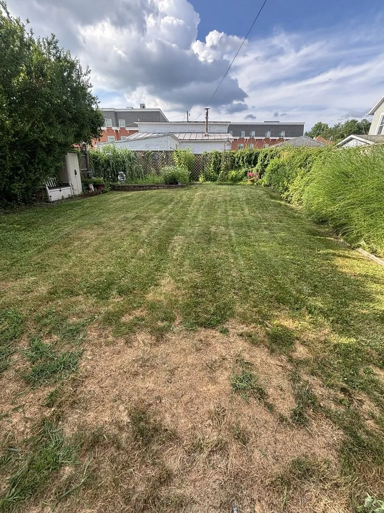 Affordable lawn care service experts serving Waynesburg, PA - Dulaneys lawn service