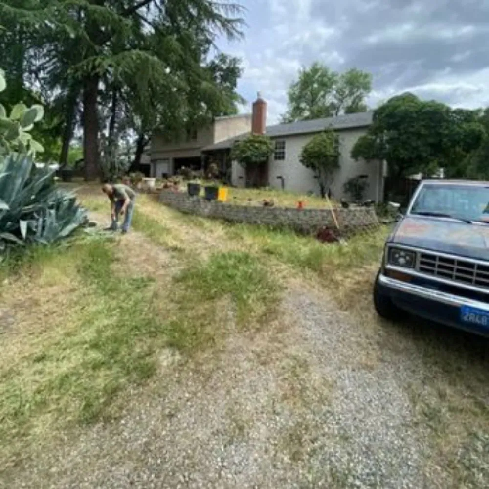 Reliable lawn care service for beautiful yards across Sacramento, CA - Dulce Lawn Care