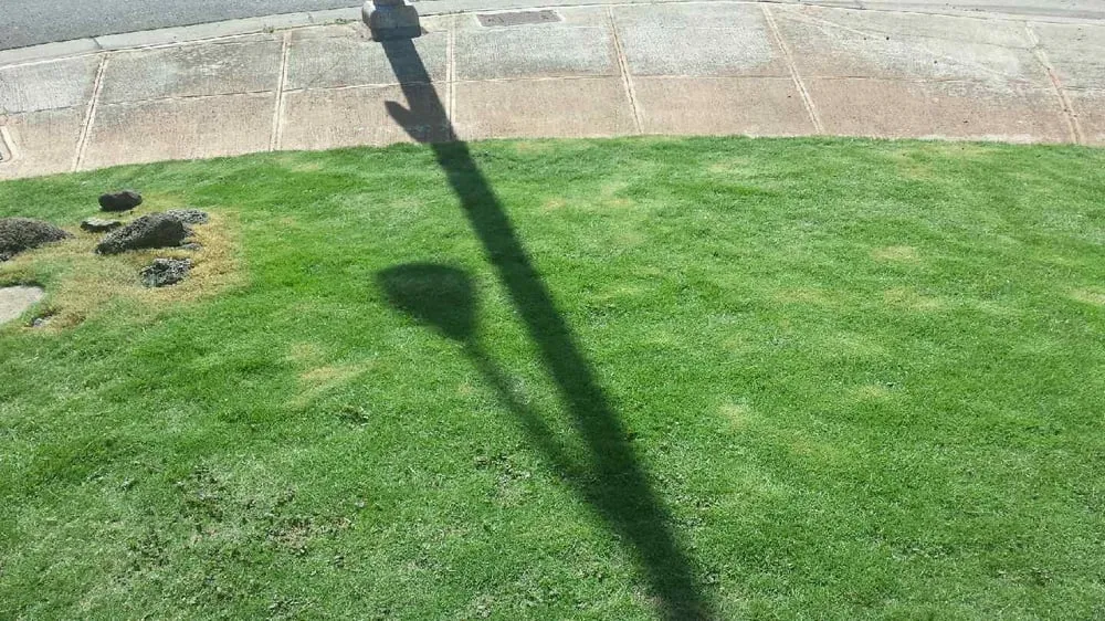 Custom landscape design experts serving Waipahu, HI - Duma Landscaping