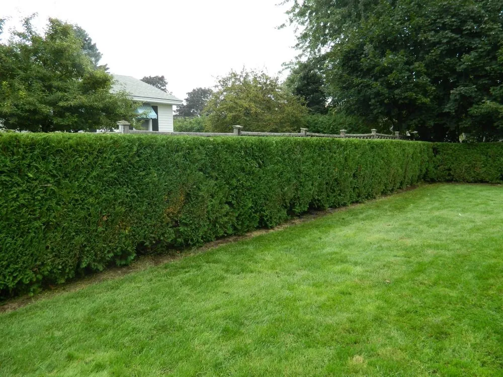 Reliable yard cleanup service in Bangor, ME by Dumond’s Lawn Care