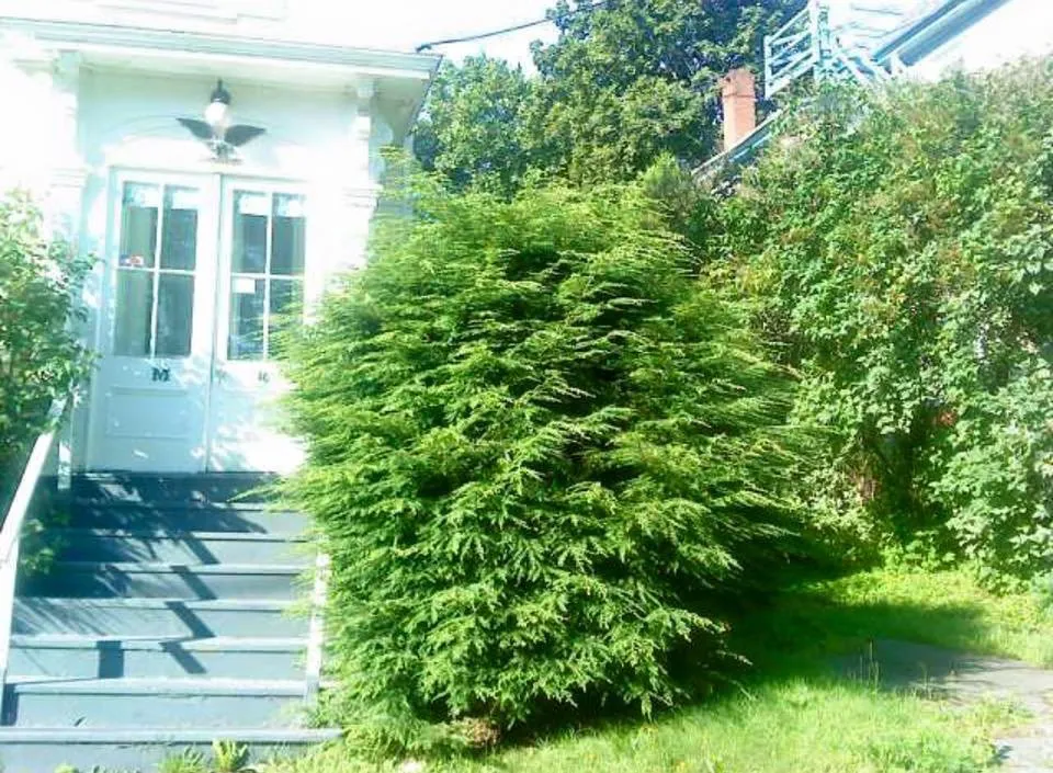 Reliable yard cleanup service for homes in Bangor, ME by Dumond’s Lawn Care