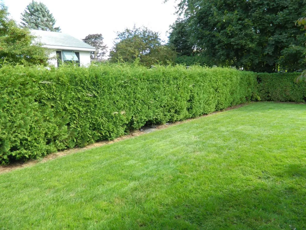 Trusted lawn mowing service experts serving Bangor, ME - Dumond’s Lawn Care