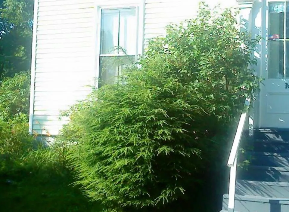 Expert landscape installation in Bangor, ME - Dumond’s Lawn Care