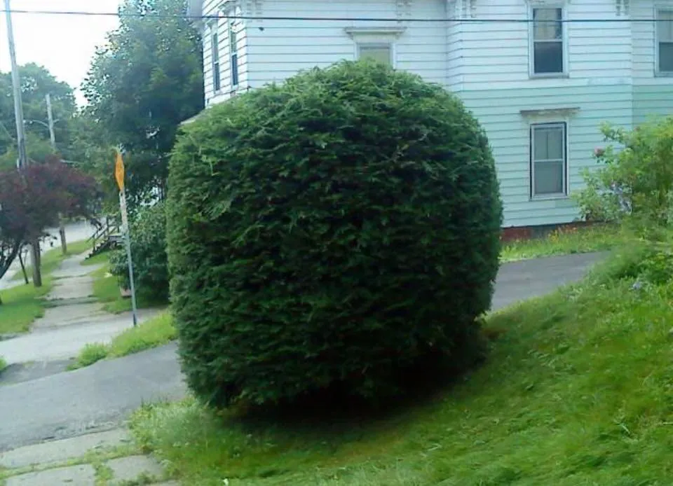 Local landscaping services in Bangor, ME - Dumond’s Lawn Care