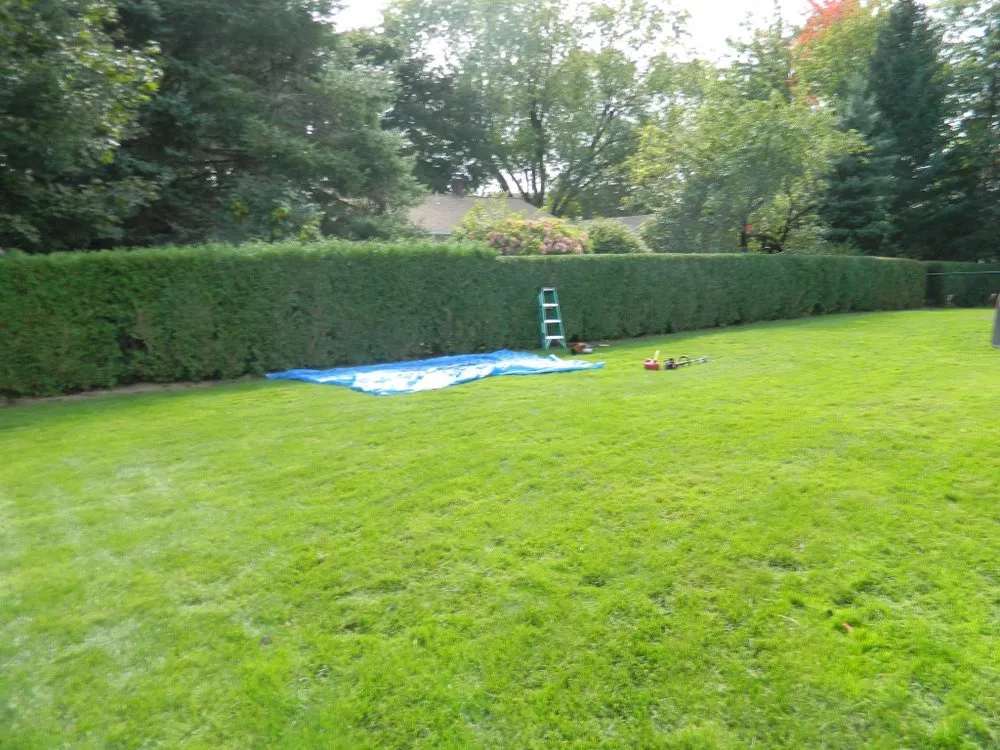 Trusted lawn care service in Bangor, ME by Dumond’s Lawn Care