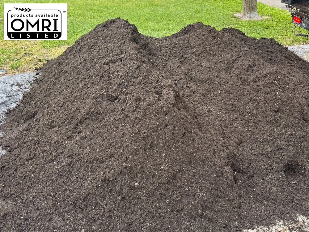 Affordable lawn mowing service for beautiful yards across Rancho Cordova, CA - Dump Truck 916