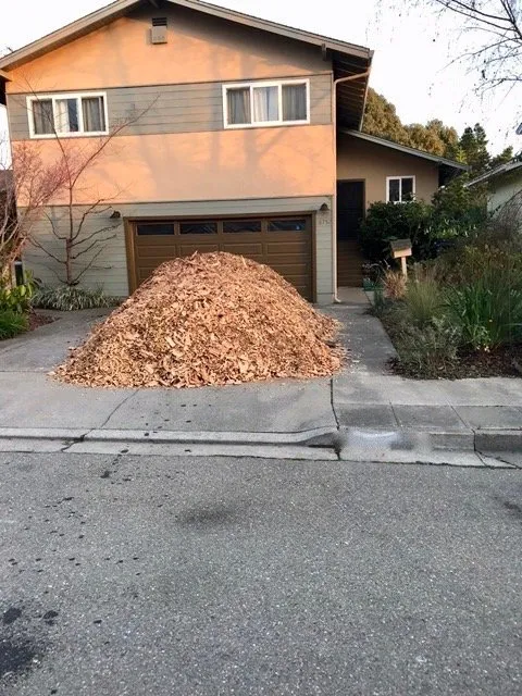 Top-rated yard cleanup service with custom design across Billings, MT - DumpChipsAndWood