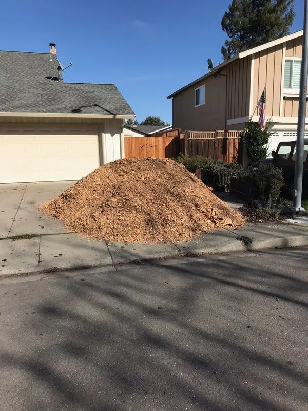 Professional lawn care service experts serving Billings, MT - DumpChipsAndWood