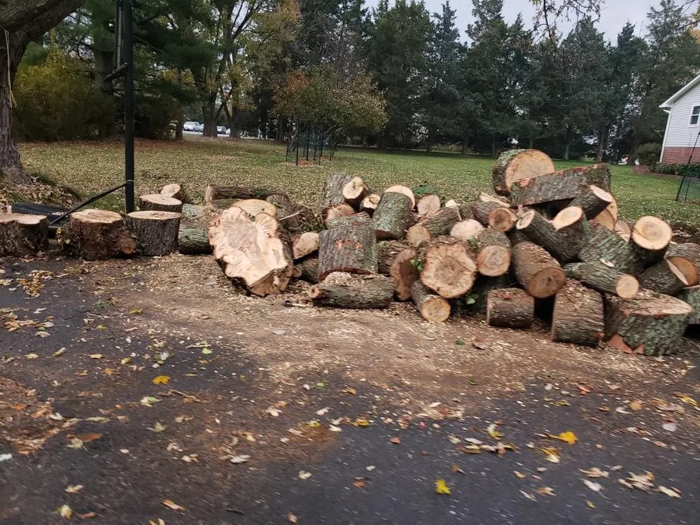 Custom landscaping services for year-round maintenance in Billings, MT by DumpChipsAndWood