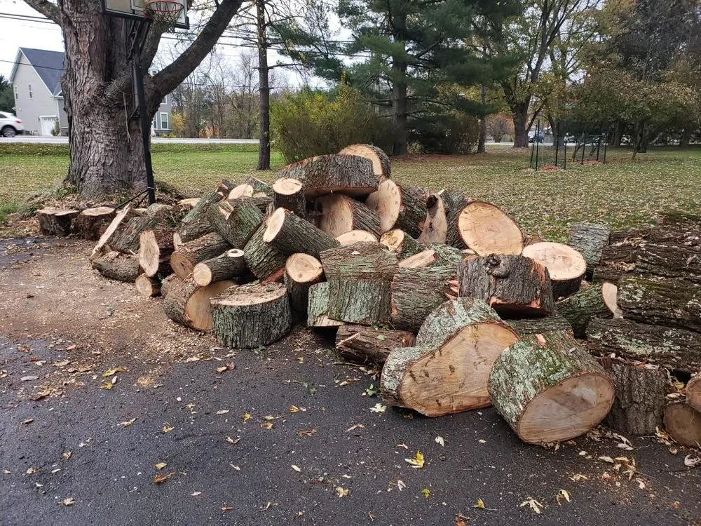 Expert landscape design in Billings, MT by DumpChipsAndWood