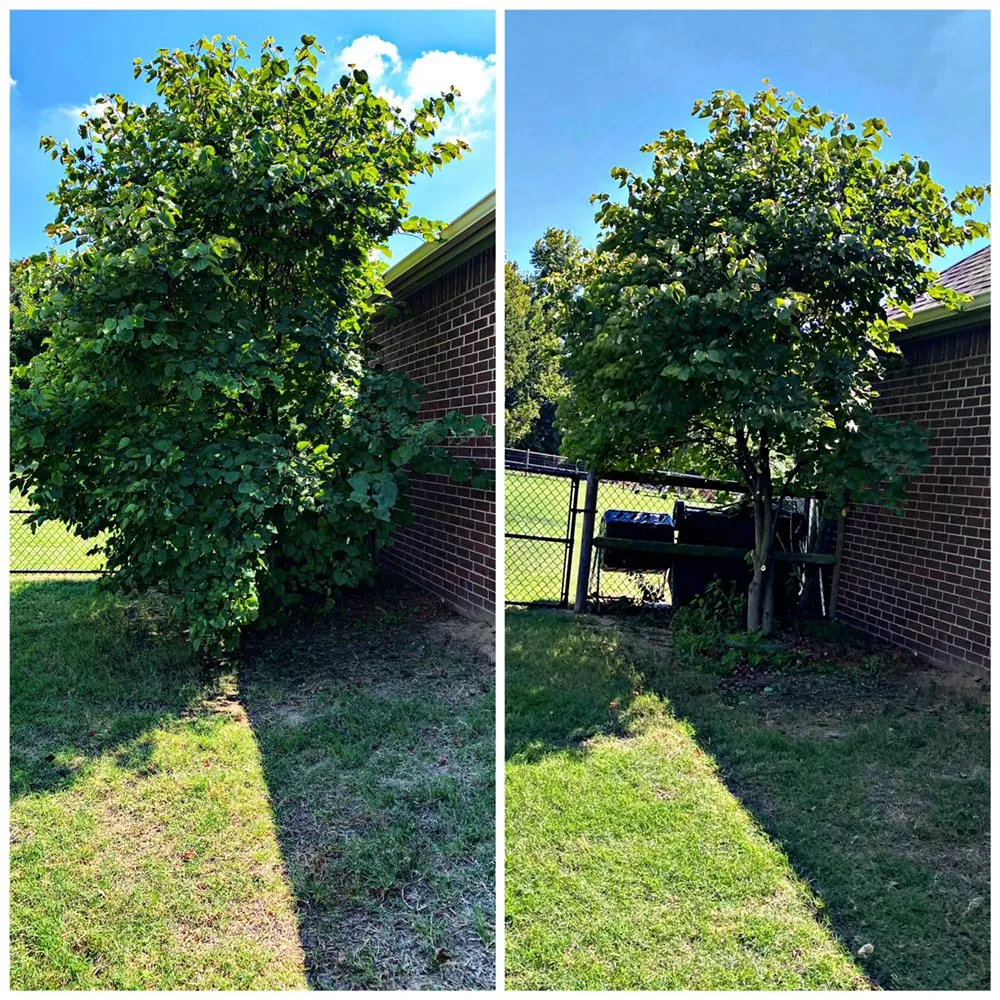 Affordable yard cleanup service for residential properties in Tulsa, OK by Dun' Dirt Cheap Lawn & Landscape