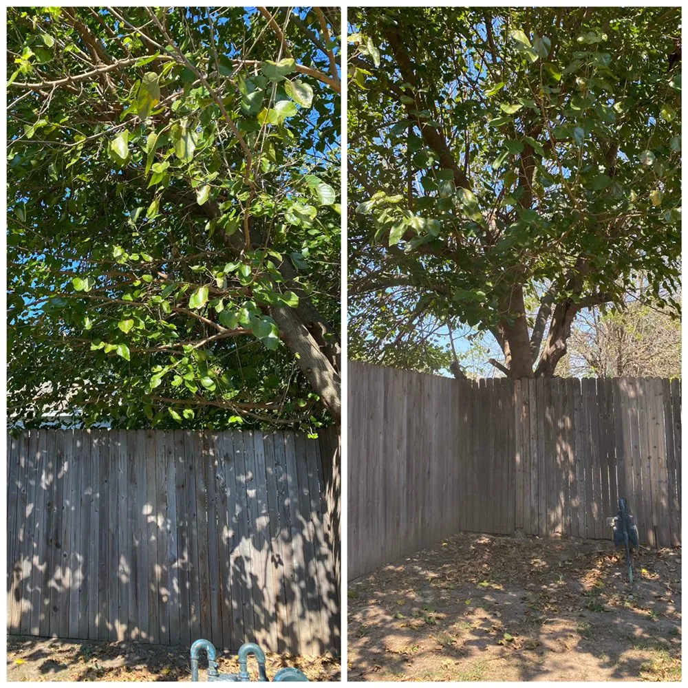 Top-rated yard cleanup service in Tulsa, OK - Dun' Dirt Cheap Lawn & Landscape