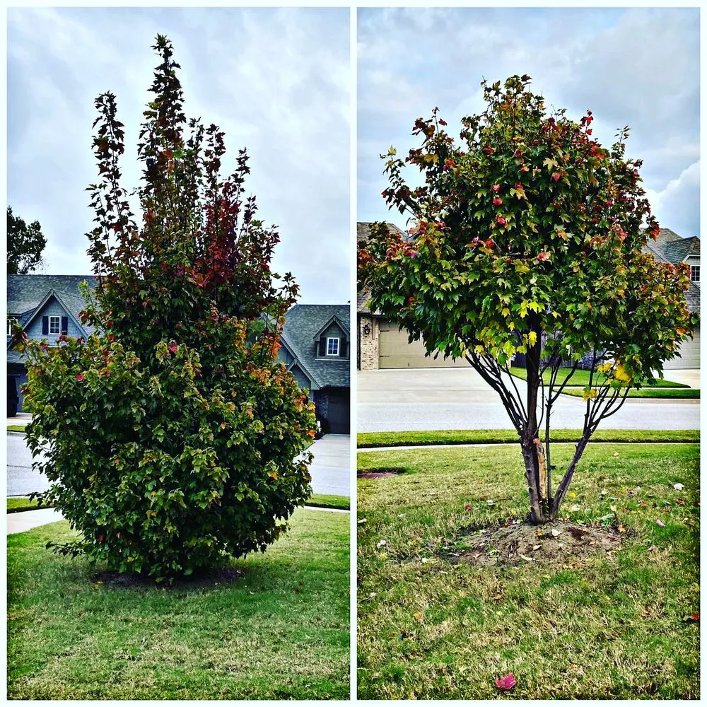 Trusted yard maintenance experts serving Tulsa, OK - Dun' Dirt Cheap Lawn & Landscape