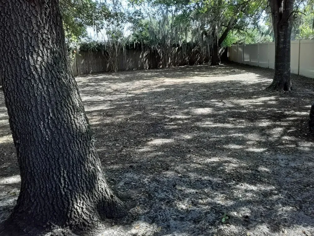 Custom outdoor landscaping in Aloma, FL by Dunamis Lawn care By Sonya