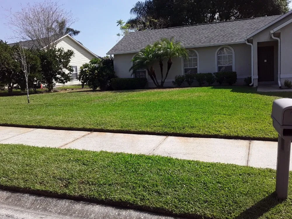 Trusted lawn mowing service experts serving Aloma, FL - Dunamis Lawn care By Sonya