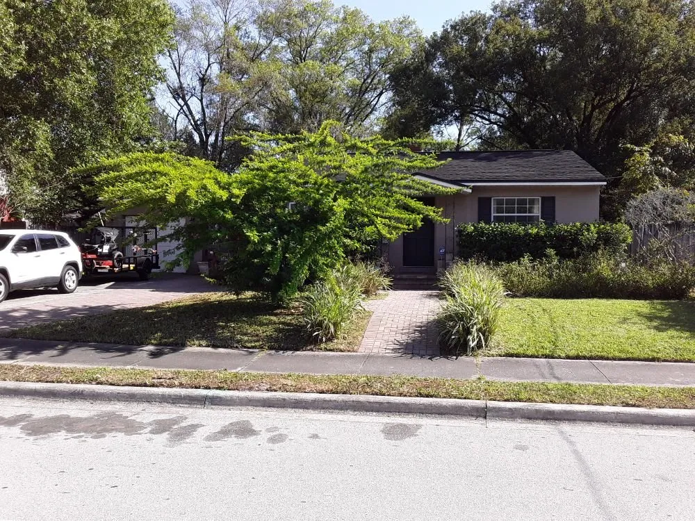 Expert yard maintenance in Aloma, FL by Dunamis Lawn care By Sonya