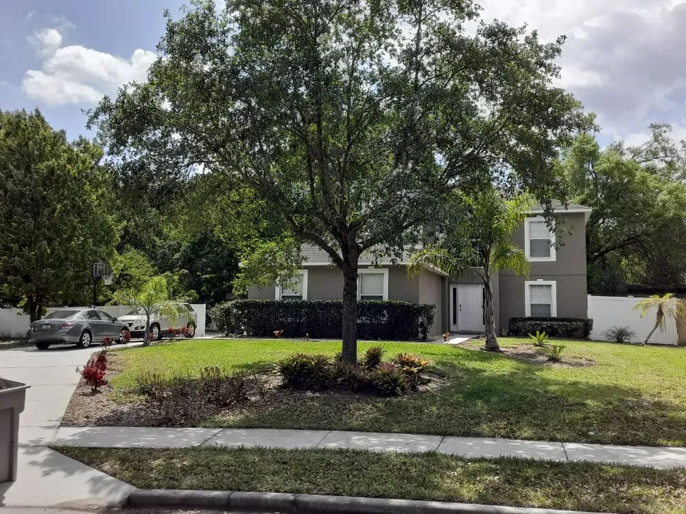 Custom lawn mowing service in Aloma, FL - Dunamis Lawn care By Sonya